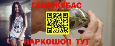 крисы Тулун