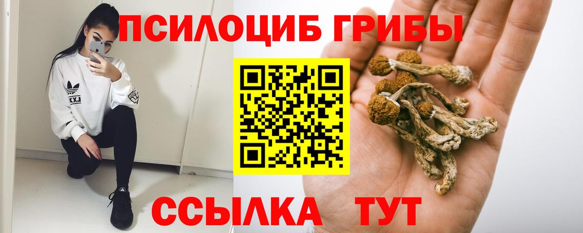 Псилоцибиновые грибы прущие грибы Новокубанск