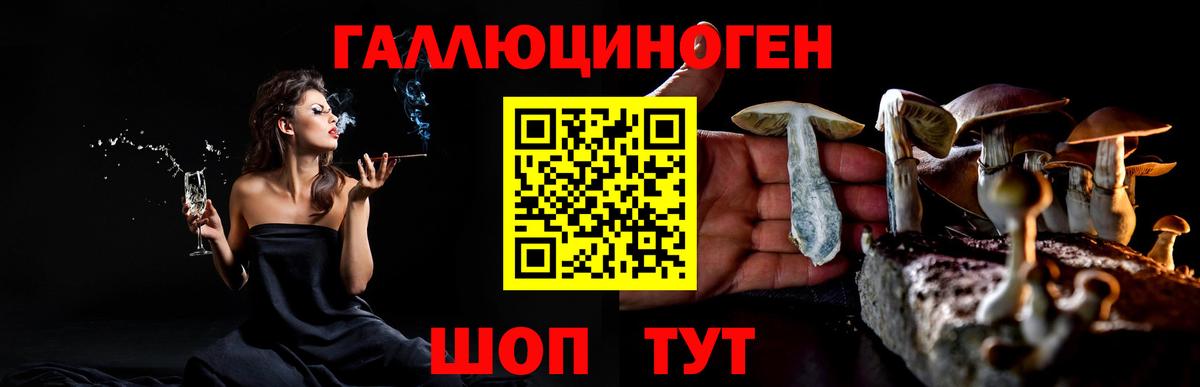 Новокубанск  Псилоцибиновые грибы мухоморы  Вход с VPN 
