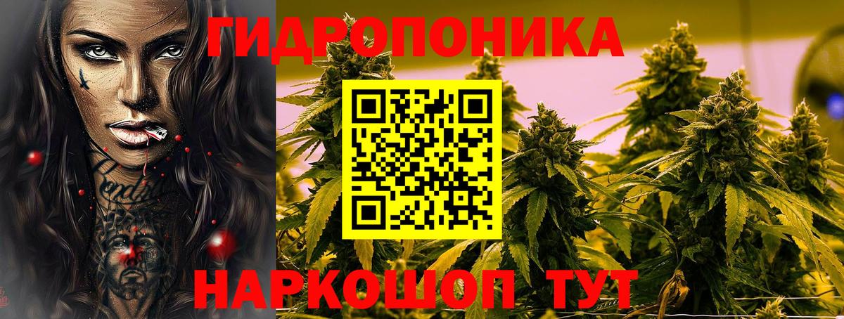 Бошки марихуана White Widow Новокубанск